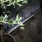 Olive Charm